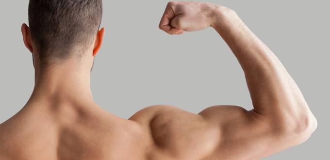 Apa yang dimaksud dengan otot trisep