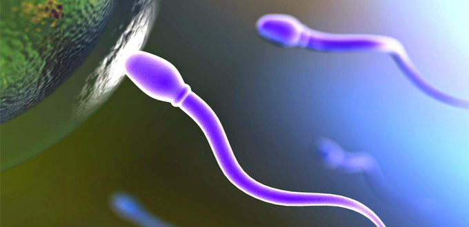 Ist Es Normal Das Sperma Wieder Rauskommt sperma-normal-dan-abnormal | Sehat Fresh